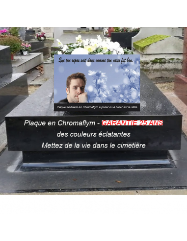 Plaque Funéraire "Papa Marguerite" - Hommage Doux et Respectueux en stock