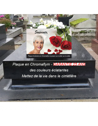 Plaque Funéraire Maman Roses Rouges : Un Hommage Plein de Respect et d'Amour le concept de la Pate a emporter 