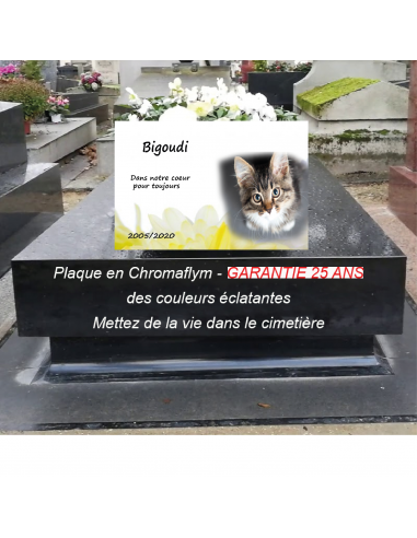 Plaque funéraire pour animal - "Chat" votre