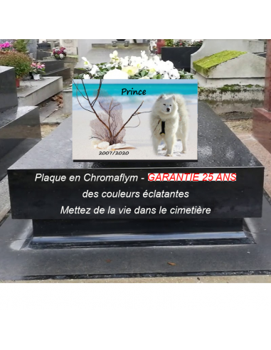 Plaque Cimetière Animaux prix pour 