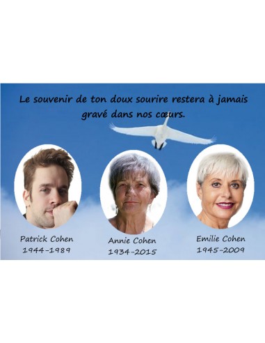 Plaque caveau familial Cygne volant - 2 ou 3 photos de pas cher