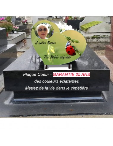 Plaque Funéraire Personnalisée Cœur - La Coccinelle Profitez des Offres !