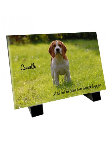 Plaque funéraire pour chien Beagle à prix réduit toute l'année