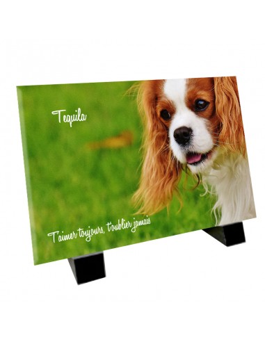 Plaque funéraire chien Cavalier King Charles plus qu'un jeu 