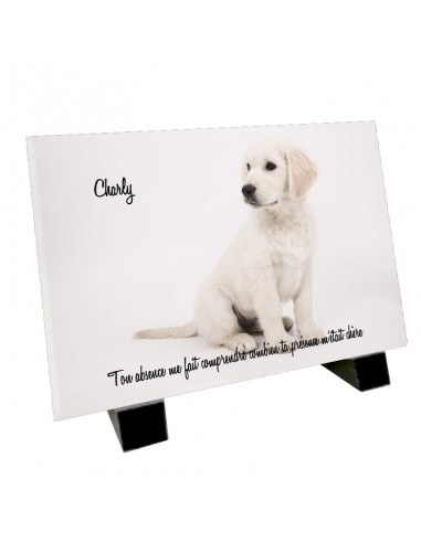 Plaque funéraire chien golden retriever ouvre sa boutique