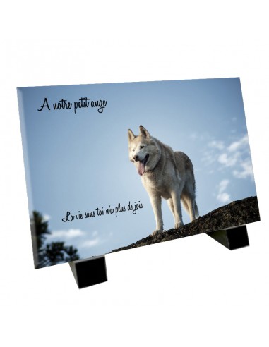 Plaque funéraire chien Husky de Sibérie commande en ligne