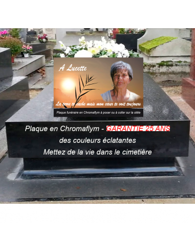 Plaque Funéraire Feuille et Coucher de Soleil en Chromaflym – Un Hommage Serein shop