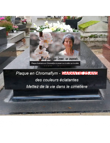 Plaque Columbarium Branche de Cerisier du meilleur 