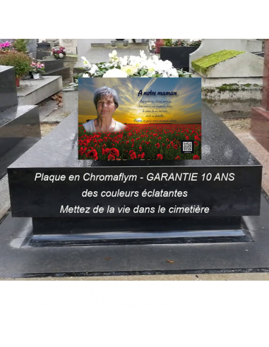 Plaque Funéraire Photo Tata : Un Hommage Personnalisé 50% de réduction en Octobre 2024