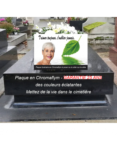 Plaque Funéraire Feuille Eau en Chromaflym – Un Hommage à la Nature et à la Vie pas chere