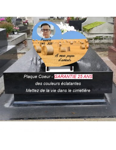 Plaque Funéraire Personnalisée "Cœur Champ de Blé" - Hommage Sincère et Émouvant de votre