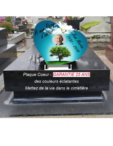 Plaque Funéraire Cœur Arbre de Vie : Symbolisme Profond 2024