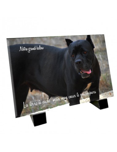 Plaque funéraire chien Cane Corso pour bénéficier 