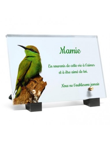 Bel oiseau vert online